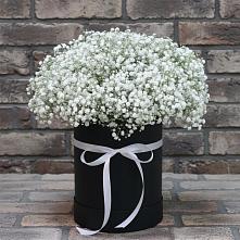 Цветочная композиция из Гипсофила в шляпной коробке #REPLACE_PRED# Барково