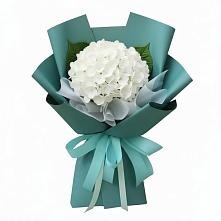 Букет цветов из:  Гортензия в Барково